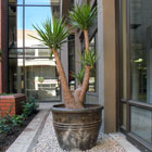 Corporate Gardens