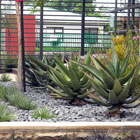Corporate Gardens