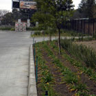 Corporate Gardens