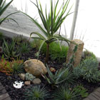Residential Gardens